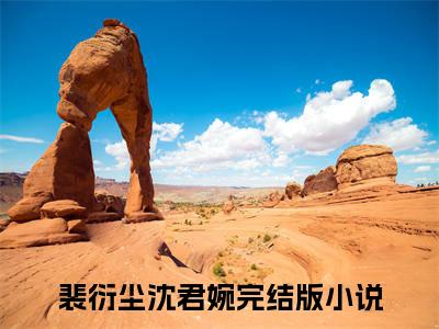 裴衍尘沈君婉（裴衍尘沈君婉）全文在线阅读无弹窗大结局_(裴衍尘沈君婉免费阅读全文大结局)最新章节列表_笔趣阁（裴衍尘沈君婉）