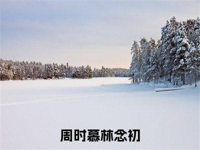 周时慕林念初小说全文免费阅读(周时慕林念初)全文免费阅读无弹窗大结局_ 周时慕林念初最新章节列表_笔趣阁（周时慕林念初小说）