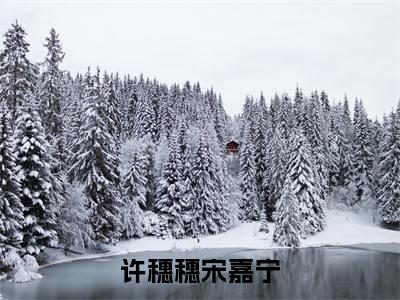 许穗穗宋嘉宁全文免费阅读（许穗穗宋嘉宁）全文无删减版在线阅读_许穗穗宋嘉宁全文免费阅读最新章节列表_笔趣阁