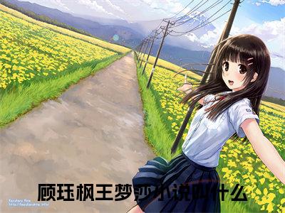 顾珏枫王梦莎知乎免费阅读-（顾珏枫王梦莎）全文免费阅读无弹窗大结局（顾珏枫王梦莎）最新章节列表_笔趣阁