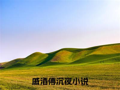 戚酒傅沉夜超多人求的小说推荐戚酒傅沉夜-小说免费阅读戚酒傅沉夜