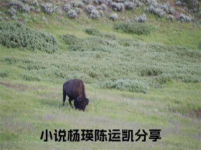 杨瑛陈运凯（杨瑛陈运凯）小说全文免费阅读无弹窗大结局_（杨瑛陈运凯免费阅读）最新章节列表笔趣阁
