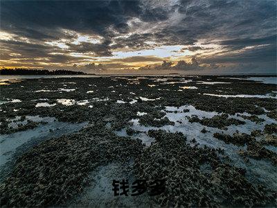 财神来敲我家门小说（钱多多）全文免费阅读无弹窗大结局_财神来敲我家门最新章节在线阅读_笔趣阁