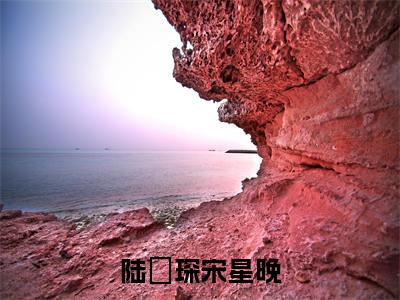 陆璟琛宋星晚（陆璟琛宋星晚）全文免费阅读无弹窗_陆璟琛宋星晚小说在线阅读_笔趣阁