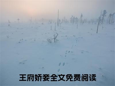 王府娇妾小说（顾朝辞叶夕颜）全文免费阅读_王府娇妾小说（顾朝辞叶夕颜）最新章节列表笔趣阁小说