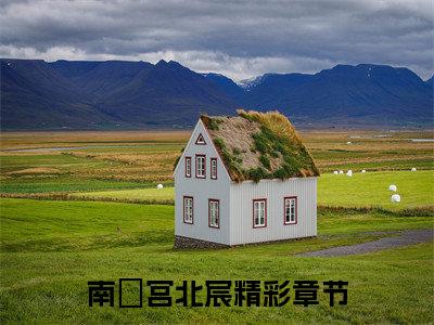 南玥宫北宸（误嫁帝国继承人，上司请别纠缠我）小说免费在线阅读_南玥宫北宸全本免费小说阅读大结局（误嫁帝国继承人，上司请别纠缠我）