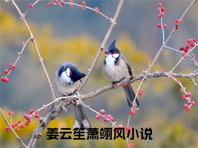 姜云笙萧翊风小说免费阅读（姜云笙萧翊风）全文免费阅读无弹窗大结局_姜云笙萧翊风小说免费阅读最新章节列表_笔趣阁（姜云笙萧翊风）