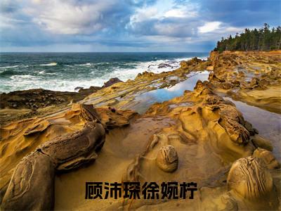 顾沛琛徐婉柠全文免费阅读全文免费阅读无弹窗大结局_顾沛琛徐婉柠全文免费阅读_笔趣阁