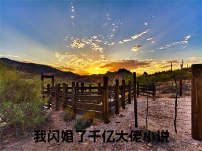 纪琛叶灵（我闪婚了千亿大佬）小说最新章节-小说纪琛叶灵（我闪婚了千亿大佬）完整版全文在线赏析