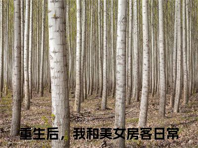 精选小说重生后，我和美女房客日常（林峰）全本阅读_林峰免费阅读_笔趣阁