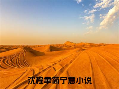 沈程聿简宁意小说（沈程聿简宁意）全文免费阅读无弹窗大结局_沈程聿简宁意小说最新章节列表_笔趣阁（沈程聿简宁意）