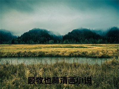 顾牧也林清画阅读无弹窗大结局_顾牧也林清画最新章节列表_笔趣阁
