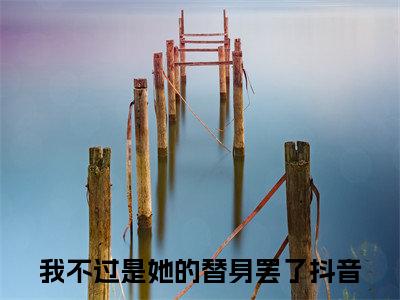 我不过是她的替身罢了（顾安然陆锦时）全文免费阅读无弹窗大结局_我不过是她的替身罢了全文免费阅读（顾安然陆锦时）最新章节列表_笔趣阁（我不过是她的替身罢了）