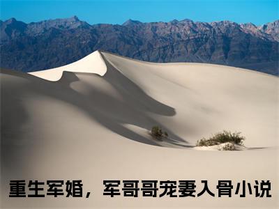 重生军婚，军哥哥宠妻入骨是什么小说-小说姜颜时毅全文阅读