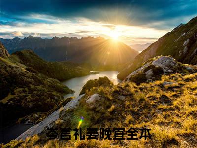 岑言礼姜晚宜(岑言礼姜晚宜)是什么小说-热门小说（岑言礼姜晚宜）最新章节阅读