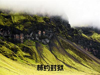 林约封狱小说热门榜单免费阅读，豪门枭宠：冷欲封少他嗜妻如命抖音新上热文分享_笔趣阁（林约封狱）