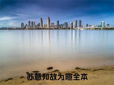 苏意知故为暄阅读无弹窗大结局_苏意知故为暄最新章节列表_笔趣阁