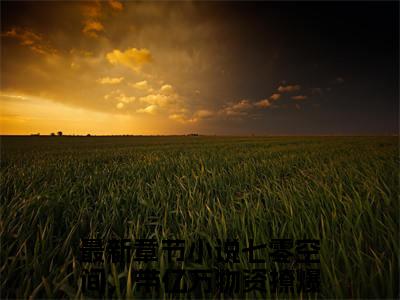 七零空间，带亿万物资撩爆糙汉（程徽月霍砚行）在哪免费看-小说（程徽月霍砚行）七零空间，带亿万物资撩爆糙汉全文最新章节免费阅读