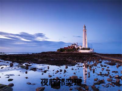 甜宠之携万能空间嫁优质军官（夜柠祁奕琛）小说好看吗-甜宠之携万能空间嫁优质军官最后结局如何（夜柠祁奕琛）小说无弹窗免费阅读