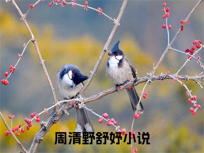 周清野舒妤好书周清野舒妤免费赏析-《周清野舒妤》小说分享全集
