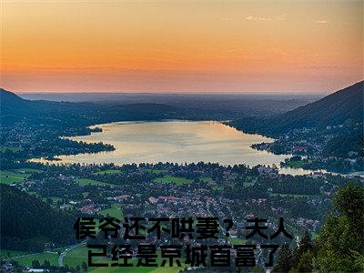 小说牧舒远陆沧洲免费阅读-（侯爷还不哄妻？夫人已经是京城首富了）牧舒远陆沧洲最新章节小说阅读-笔趣阁
