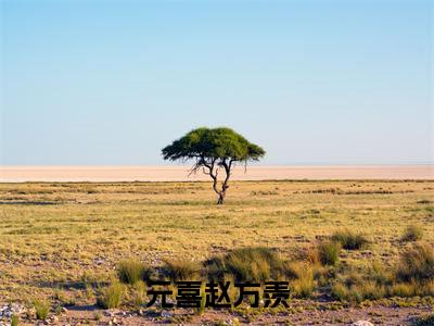 元喜赵方羡（元喜赵方羡全文免费）全文免费阅读_元喜赵方羡全文免费阅读无弹窗最新章节列表_笔趣阁（元喜赵方羡）
