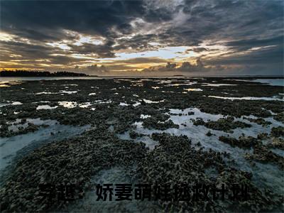 穿越：娇妻萌娃拯救计划（顾星熠）全文免费阅读无弹窗大结局_穿越：娇妻萌娃拯救计划免费阅读无弹窗