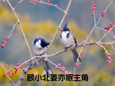 热文（顾小北姜亦眠）美文阅读_热门小说顾小北姜亦眠主人公是（顾小北姜亦眠）最新章节最新章节列表_笔趣阁