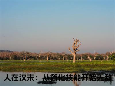 刘逸全文(人在汉末：从简化技能开始无敌)全文免费阅读无弹窗大结局_ 人在汉末：从简化技能开始无敌全文免费阅读最新章节列表_