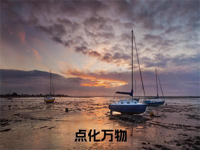 陆哲（点化万物）全文免费阅读无弹窗大结局_（点化万物无弹窗）全文完整版免费阅读