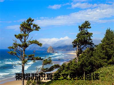 秦熠苏识夏（秦熠苏识夏）小说全文免费阅读无弹窗大结局_（秦熠苏识夏）秦熠苏识夏小说全文免费阅读最新章节列表笔趣阁（秦熠苏识夏）