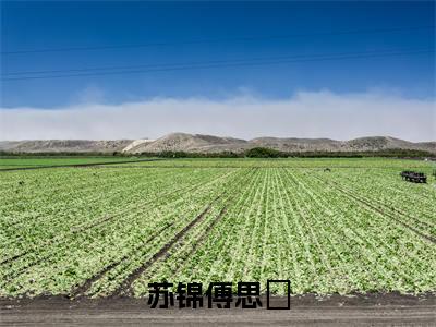 苏锦傅思洐(苏锦傅思洐)小说全文小说免费阅读_苏锦傅思洐最新章节列表笔趣阁