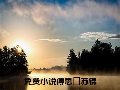 傅思洐苏锦（傅思洐苏锦）全文免费阅读无弹窗_傅思洐苏锦最新小说_笔趣阁（傅思洐苏锦）