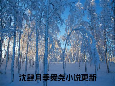主角为沈肆月季舜尧的小说精彩阅读-沈肆月季舜尧最新章节阅读
