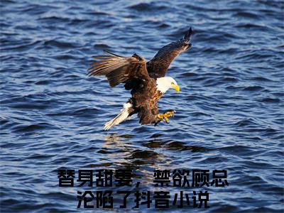 安颜顾承郁好看的小说替身甜妻，禁欲顾总沦陷了在线阅读-替身甜妻，禁欲顾总沦陷了是什么小说《安颜顾承郁》
