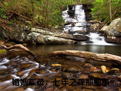 婚姻实录：七年之痒那些事小说全文-婚姻实录：七年之痒那些事（章恒苏晓）最新章节免费阅读