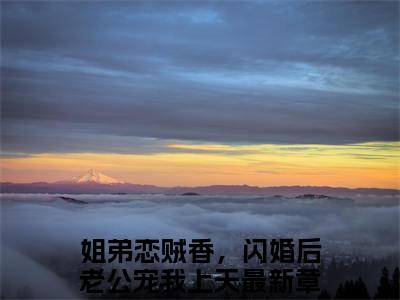姐弟恋贼香，闪婚后老公宠我上天全文免费阅读大结局-云飒容湛最新章节列表-笔趣阁
