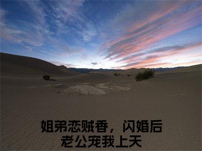 姐弟恋贼香，闪婚后老公宠我上天（容湛云飒小说）全文免费阅读无弹窗大结局_(姐弟恋贼香，闪婚后老公宠我上天小说免费阅读全文大结局)最新章节列表_笔趣阁（容湛云飒）