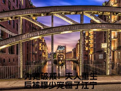 为她破戒！夫人重生后被穆少宠疯了（江宁）小说全文免费阅读无弹窗_（江宁）最新章节列表_笔趣阁