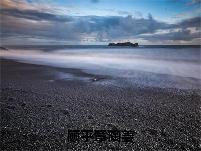 （顾平章陶姜）是什么小说_主角是（顾平章陶姜）的小说（顾平章陶姜）最新章节列表_笔趣阁