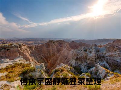 傅承宇盛静姝是什么小说-玩玩而已，傅总不会当真了吧？小说傅承宇盛静姝全文阅读