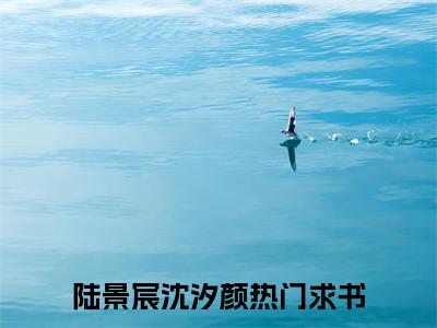 陆景宸沈汐颜全文免费在线阅读_（陆景宸沈汐颜免费阅读无弹窗）陆景宸沈汐颜全文免费完结版阅读（陆景宸沈汐颜）