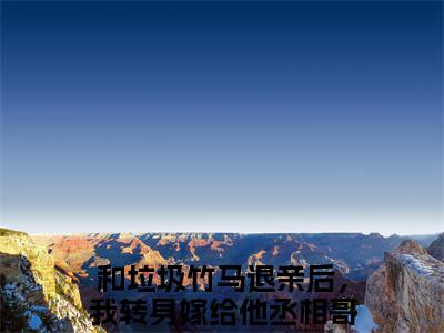 和垃圾竹马退亲后，我转身嫁给他丞相哥哥「精彩小说」无弹窗阅读 姜珍贺文书大结局阅读