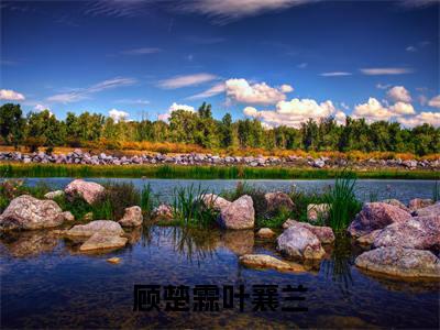 顾楚霖叶襄兰（顾楚霖叶襄兰）小说全文免费阅读正版无弹窗_(顾楚霖叶襄兰)最新章节列表