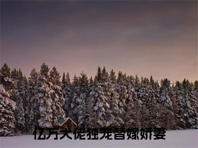 亿万大佬独宠替嫁娇妻夜少倾黎洛精彩章节在线阅读-夜少倾黎洛美文欣赏
