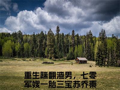 重生踹翻渣男，七零军嫂一胎三宝小说苏乔秦峥嵘最新更新—苏乔秦峥嵘小说美文赏析