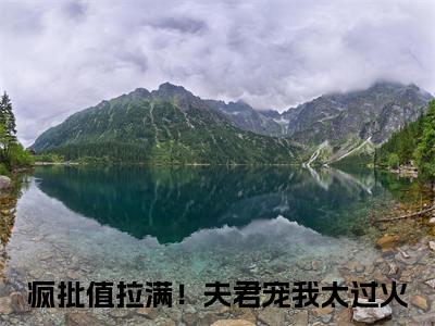 疯批值拉满！夫君宠我太过火小说（望欢齐佑邶）全文免费阅读无弹窗大结局_（疯批值拉满！夫君宠我太过火）望欢齐佑邶小说免费阅读无弹窗最新章节列表_笔趣阁