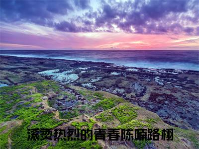 滚烫热烈的青春小说大结局全文免费阅读-抖音小说陈喃路栩