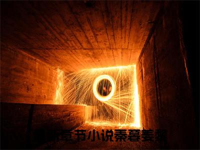 她在扮乖全文免费（秦暮姜黎）全文免费阅读无弹窗大结局_（秦暮姜黎全文免费她在扮乖）