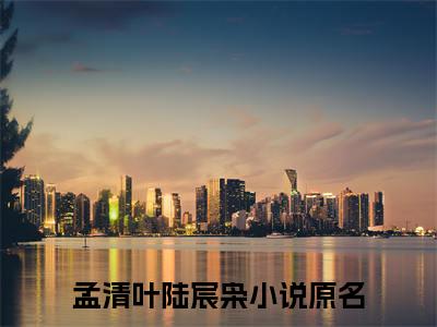 孟清叶陆宸枭（孟清叶陆宸枭）全文免费阅读无弹窗大结局_孟清叶陆宸枭在线阅读（孟清叶陆宸枭）最新章节列表笔趣阁（孟清叶陆宸枭）